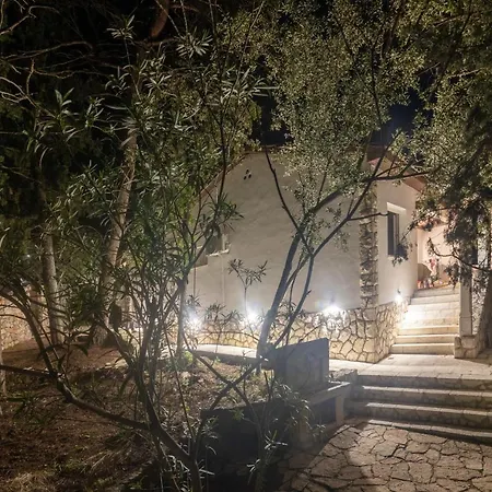 Pinus * Stari Grad (Hvar)