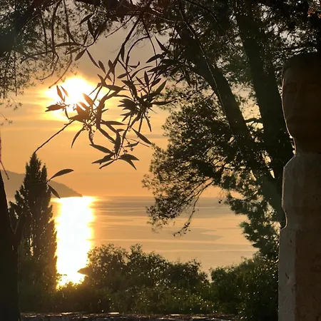 Pinus Stari Grad (Hvar)