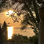 Pinus Stari Grad (Hvar)