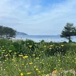 Pinus Domek letniskowy Stari Grad (Hvar)
