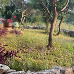 Lodge Pinus Stari Grad (Hvar)