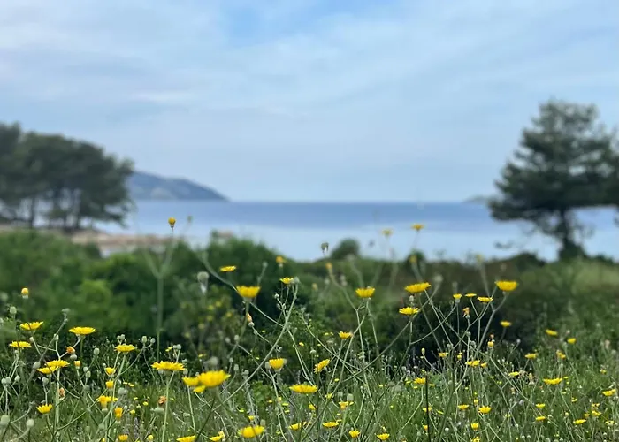 Pinus Lodge Stari Grad (Hvar)